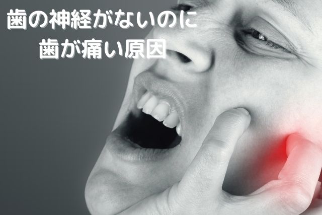 歯の神経がないのに歯が痛い原因｜香川県 高松市 噛み合わせ専門 吉本歯科医院